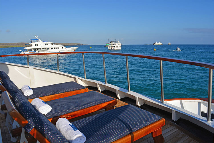 SunDeck