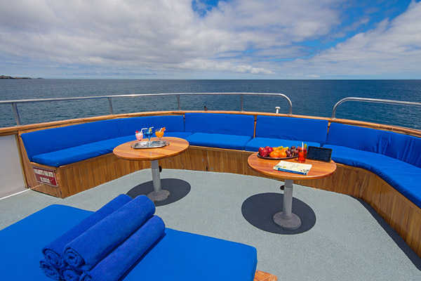 Sun Deck
