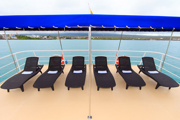 Sundeck