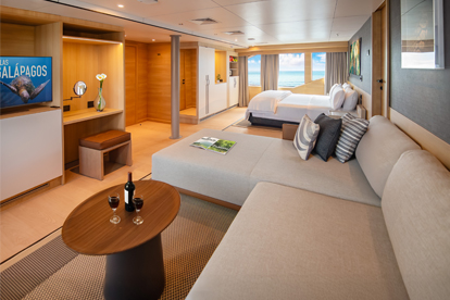 Owner Suite 2