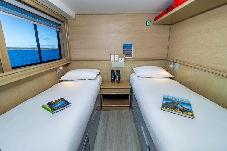Twin cabin