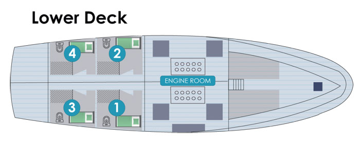 GOLONDRINA LOWER DECK