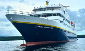 National Geographic Gemini