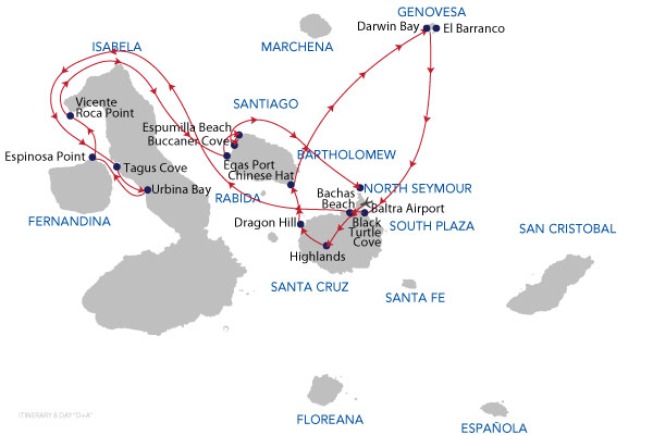 D+A - 8 Days Cruise